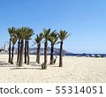Poniente beach in Benidorm 55314051