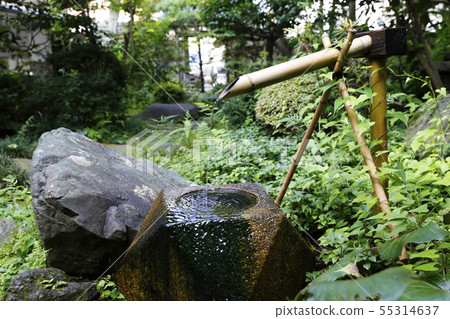 Water caves of Oyama Shikisaikan Water caves of Oyama Shikisaikan 55314637