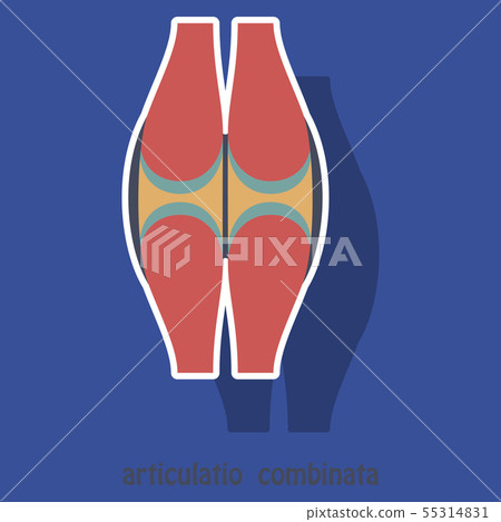 Knee joint health care icon sticker Knee joint health care icon sticker 55314831