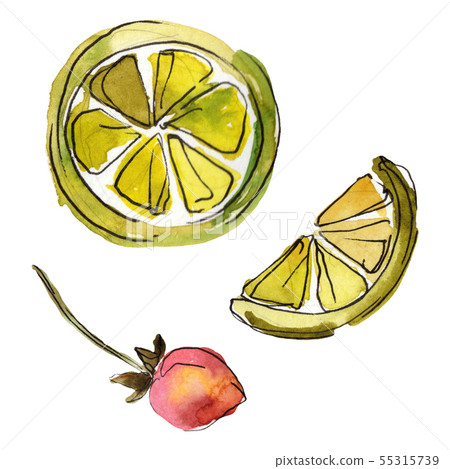 Fresh lemon fruit and strawberry. Watercolor background illustration set. Isolated desserts Fresh lemon fruit and strawberry. Watercolor background illustration set. Isolated desserts 55315739