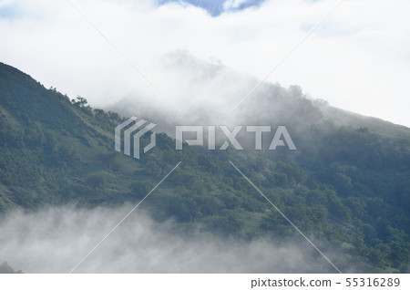 雲海(北海道)包裹的山脈 雲海(北海道)包裹的山脈 55316289