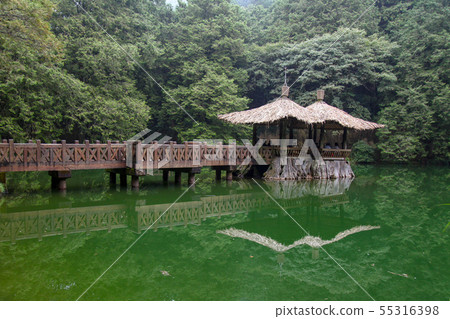 The walk way go to pavilion at Alishan national 55316398