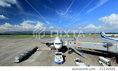 Aircraft 55316888
