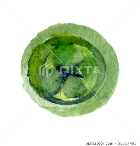 Eucaliptus floral botanical flower. Watercolor background illustration set. Isolated eucaliptus Eucaliptus floral botanical flower. Watercolor background illustration set. Isolated eucaliptus 55317485