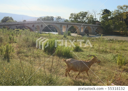 Albania Bridge and the Goat 55318132