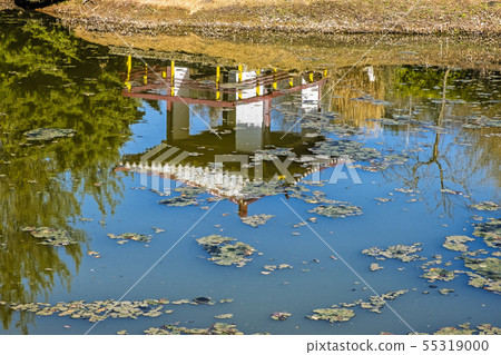 East Asian exposition in Arboretum Tesarske 55319000