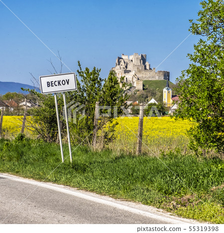 Beckov castle with oilseed rape yellow field, Beckov castle with oilseed rape yellow field, 55319398