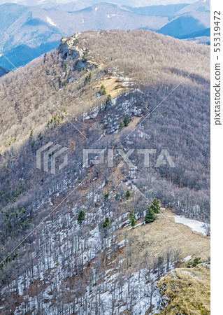 Deciduous forest in spring with snow, Klak, 55319472