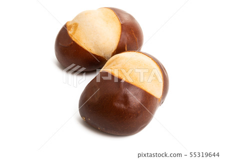 sandwich buns isolated 55319644