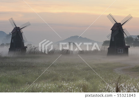 索拉的早晨 55321843