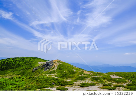 Hon Shirane山路 55322239