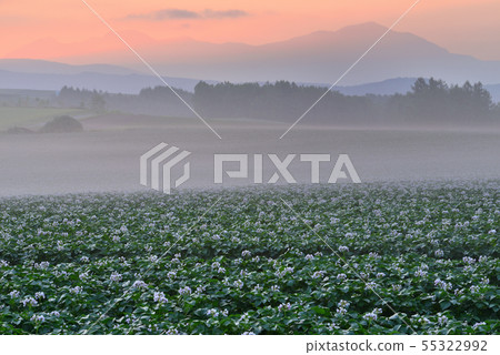 Biei no Oka Biei no Oka 55322992