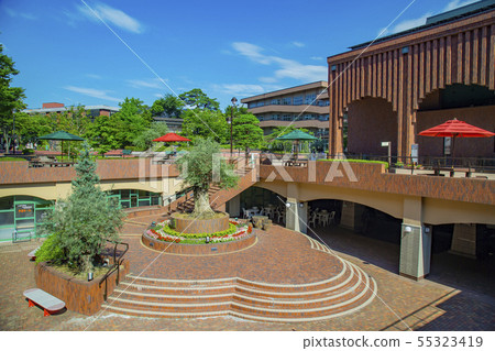東北福利大學仙台市 東北福利大學仙台市 55323419