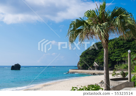 Beach Ohama Seaside Park Amami Oshima Beach Ohama Seaside Park Amami Oshima 55323514