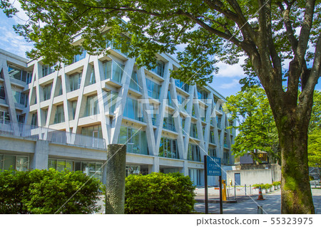 東北大學國立大學 55323975
