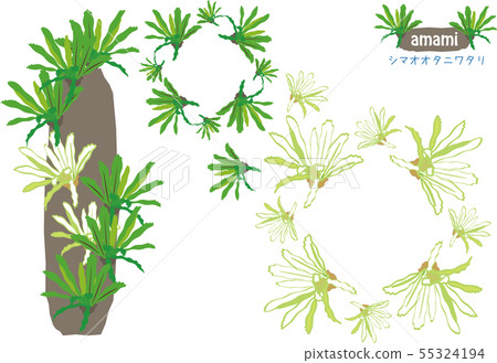 Amami's plant Shima Otaniiwatari logo with Amami's plant Shima Otaniiwatari logo with 55324194