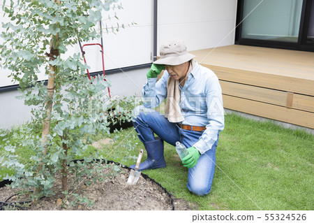 Garden yard work men hydration 50s 60s headache 55324526