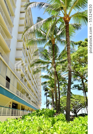 Holidays in Hawaii 55324830