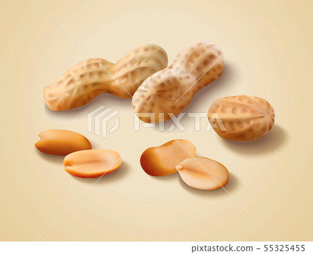 Dried peanut with shell 55325455
