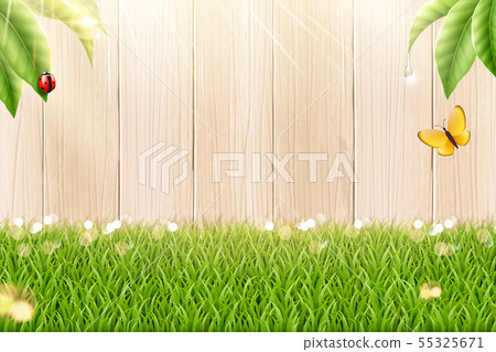 Garden grass and fence Garden grass and fence 55325671