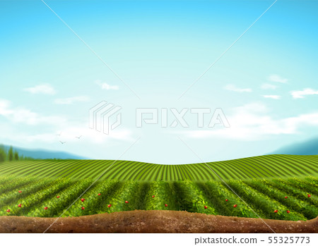 Green field background - Stock Illustration [55325773] - PIXTA