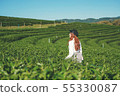Travel Woman walking in tea plant at chiang rai 55330087
