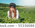 Travel Woman walking in tea plant at chiang rai 55330088