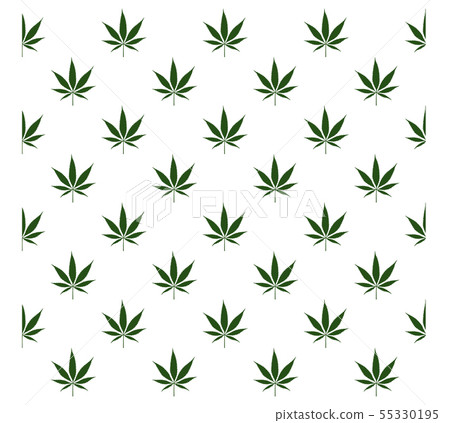 Cannabis or Marijuana pattern vector 55330195