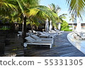 The resort hotel's poolside 55331305