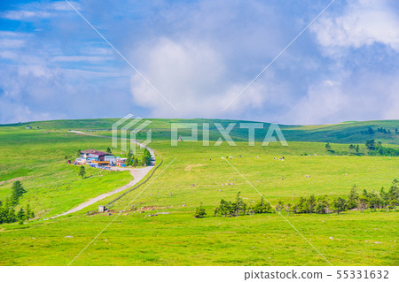 （長野縣）Migahara高原的農田 55331632