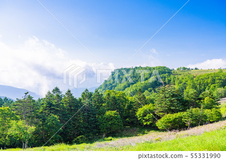 (Nagano Prefecture) The mountains of the Migahara plateau Summer 55331990