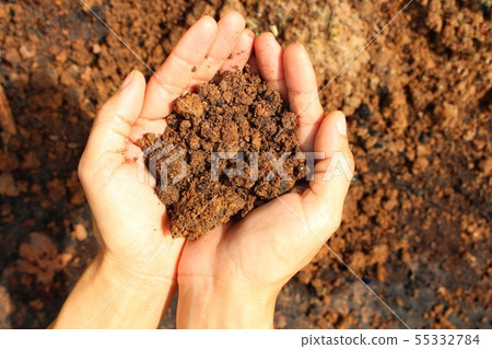 Young women clutching the soil in the hands Young women clutching the soil in the hands 55332784