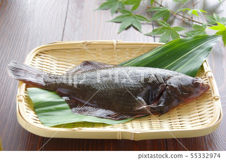 三文魚異體類魚生魚 三文魚異體類魚生魚 55332974