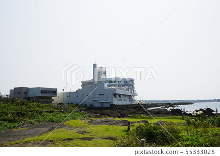橫須賀市天神島天神島 橫須賀市天神島天神島 55333028