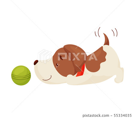 Cute puppy playing ball. Vector illustration on white background. Cute puppy playing ball. Vector illustration on white background. 55334035