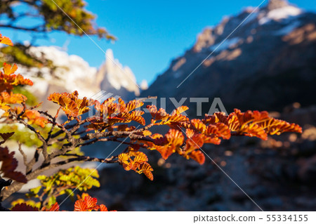 Autumn in Patagonia Autumn in Patagonia 55334155