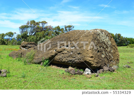 Stunned Moai statue Stunned Moai statue 55334329
