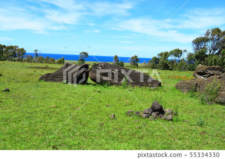 Stunned Moai statue 55334330