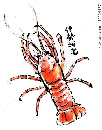 Brush drawing seafood Ise shrimp 55334577
