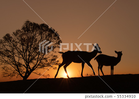 Sunset at the summit of Wakasasan 55334910