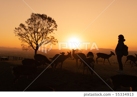 Sunset at the summit of Wakasasan 55334913