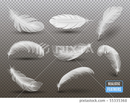 White Feathers Realistic Transparent Set 55335368