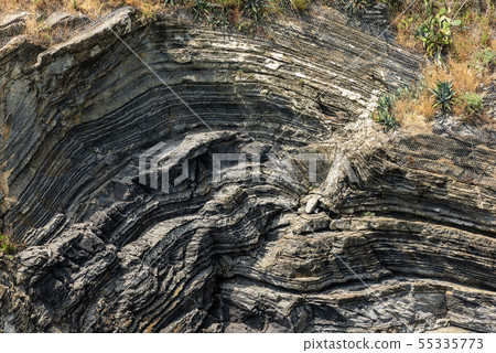 Rocky cliff in Vernazza - Cinque Terre Italy Rocky cliff in Vernazza - Cinque Terre Italy 55335773
