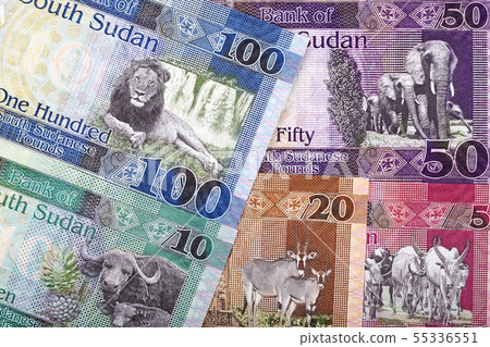 South Sudanese Pounds, a business background  55336551