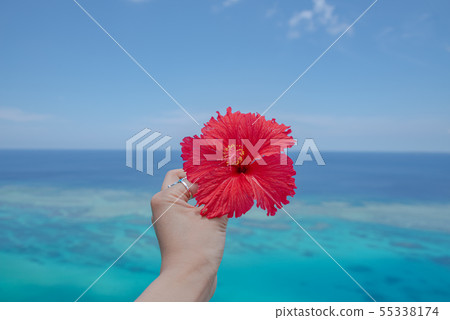 沖繩Miyakojima Shikishima遠程島木槿高超的視圖股票照片 -  photolibrary 55338174
