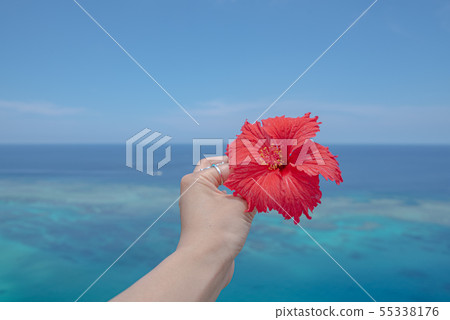 沖繩Miyakojima Shikishima遠程島木槿高超的視圖股票照片 - photolibrary 沖繩Miyakojima Shikishima遠程島木槿高超的視圖股票照片 - photolibrary 55338176