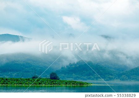 Korean lotus island seminar 55338829