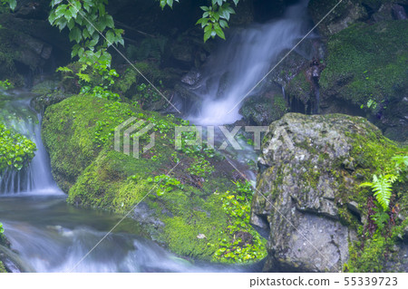 江原道平昌縣Jangjeon Valley 江原道平昌縣Jangjeon Valley 55339723