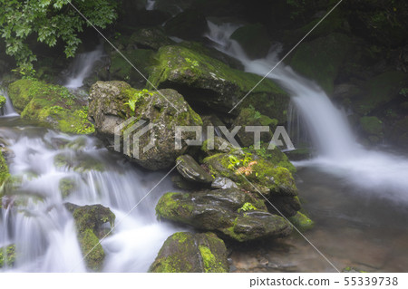 江原道平昌縣Jangjeon Valley 江原道平昌縣Jangjeon Valley 55339738