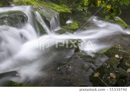 Jangjeon Valley, Pyeongchang County, Gangwon Province Jangjeon Valley, Pyeongchang County, Gangwon Province 55339740